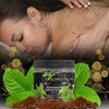 Faith & Glory's Peppermint Body Scrub