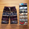 Men's Casual Beach Shorts
