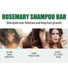 Rosemary Hair Regrowth Shampoo Bar