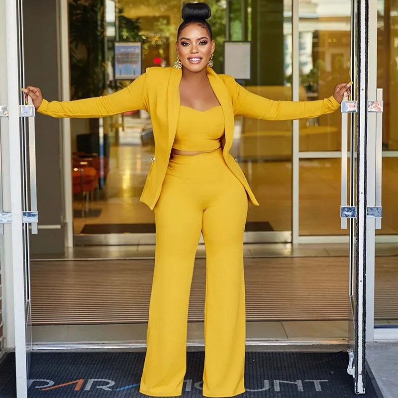 Elegant 3 Piece Suit